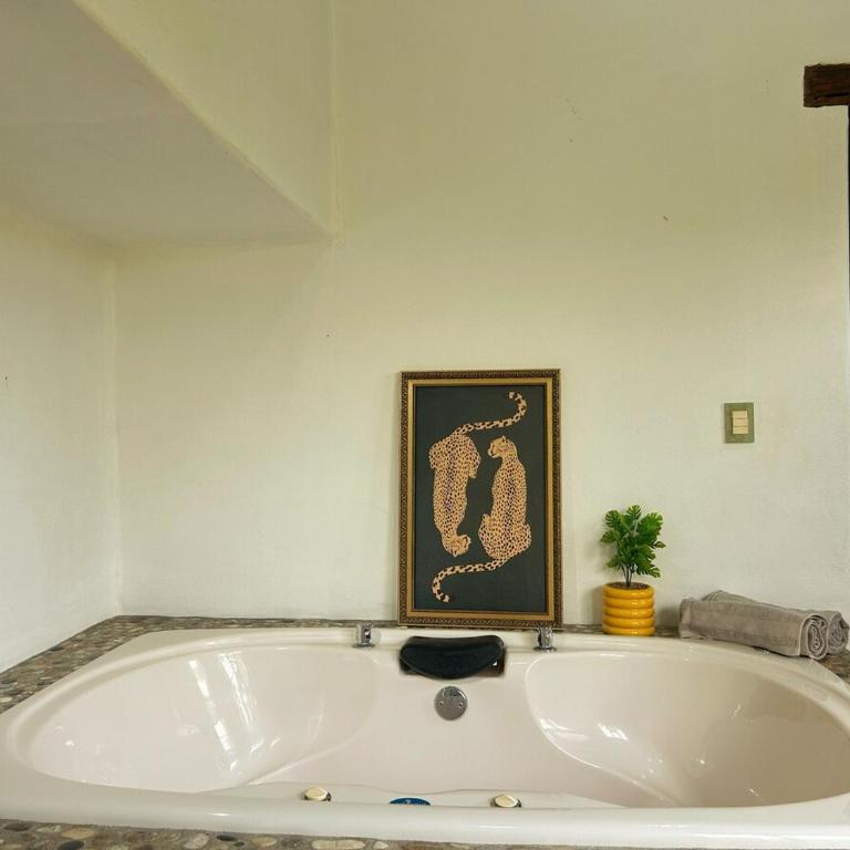 Casa Luz del Pacifico, Carrizalillo - Apartamento - 10