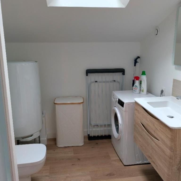 Grand Duplex lumineux aux Minimes - Appartement - 15