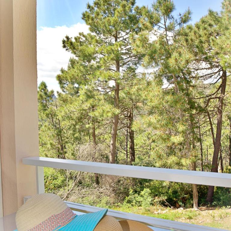 Small cocoon in a peaceful haven - Appartement 1 Chambre - 18