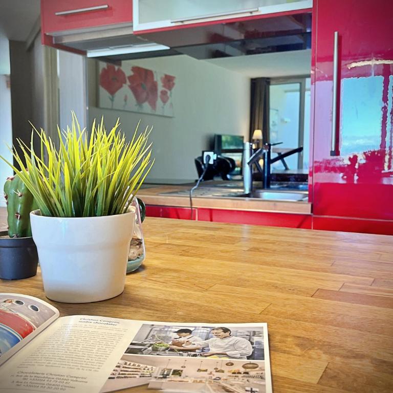 Small cocoon in a peaceful haven - Appartement 1 Chambre - 7
