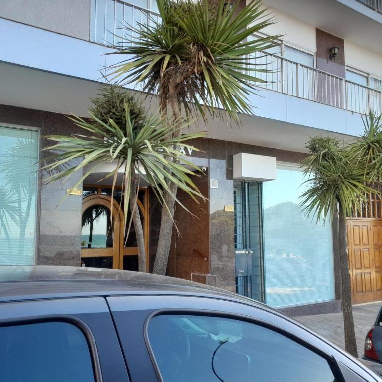 Nijocalixxv Mdp - Apartamento de 2 dormitorios - Frente al océano - 12