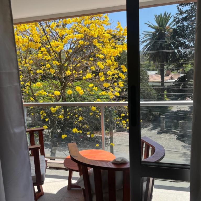Rincon norte 1 - One-Bedroom Apartment - 1