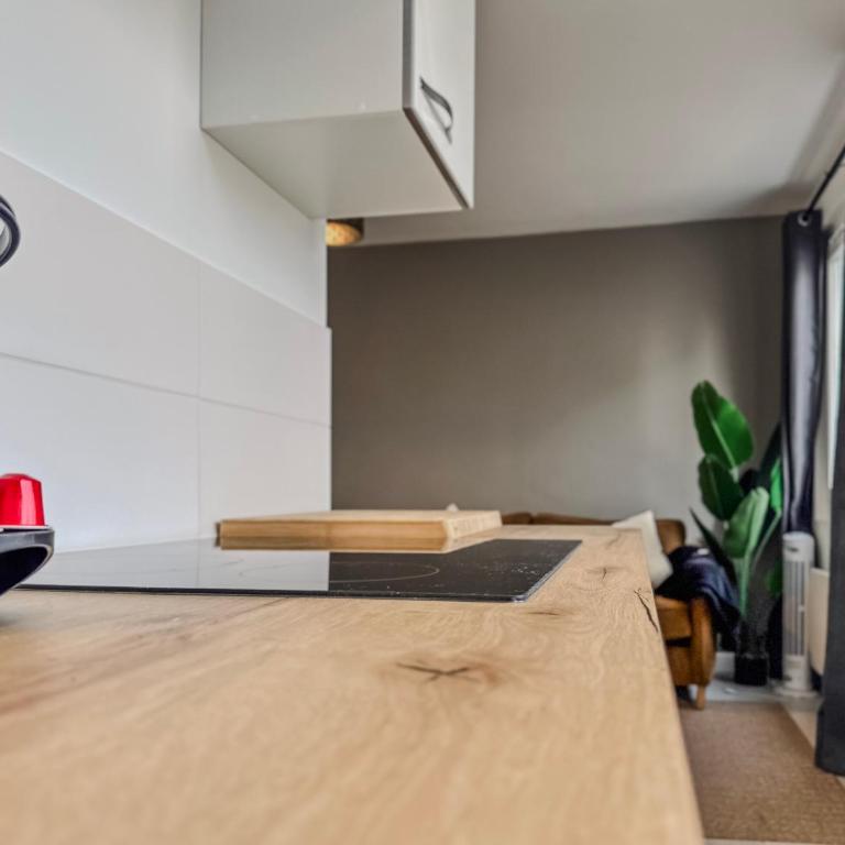 Le Croizat - Neyrpic - Appartement 3 Chambres - 25
