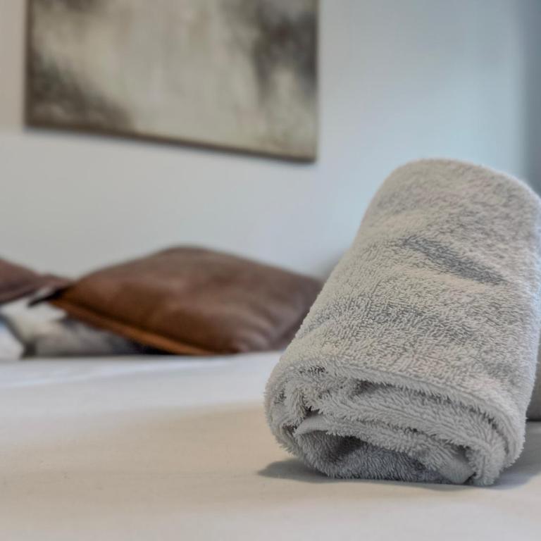 Le Croizat - Neyrpic - Appartement 3 Chambres - 36