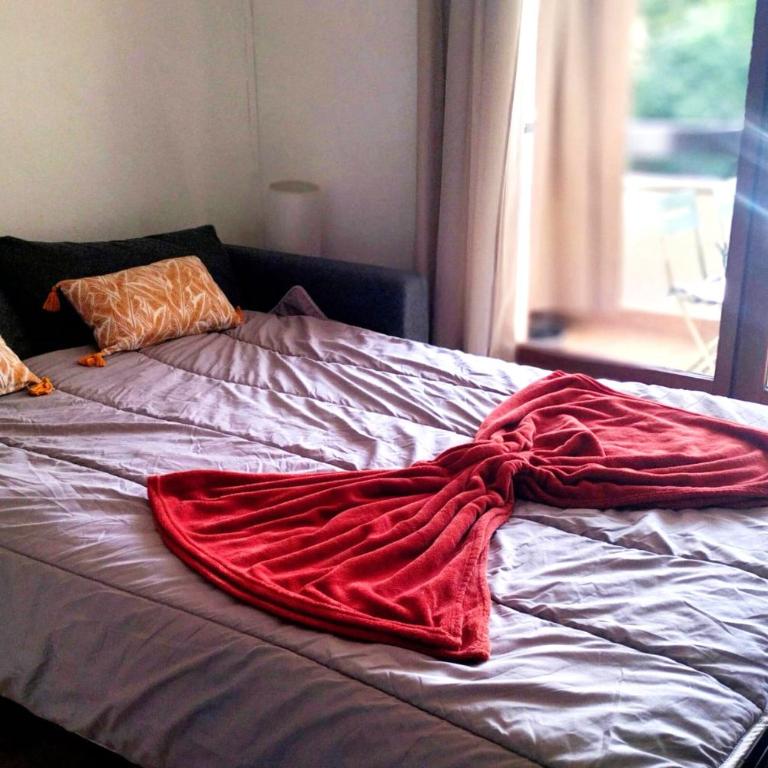 Flat with terrace in Sanary-sur-Mer - Monolocale - 1