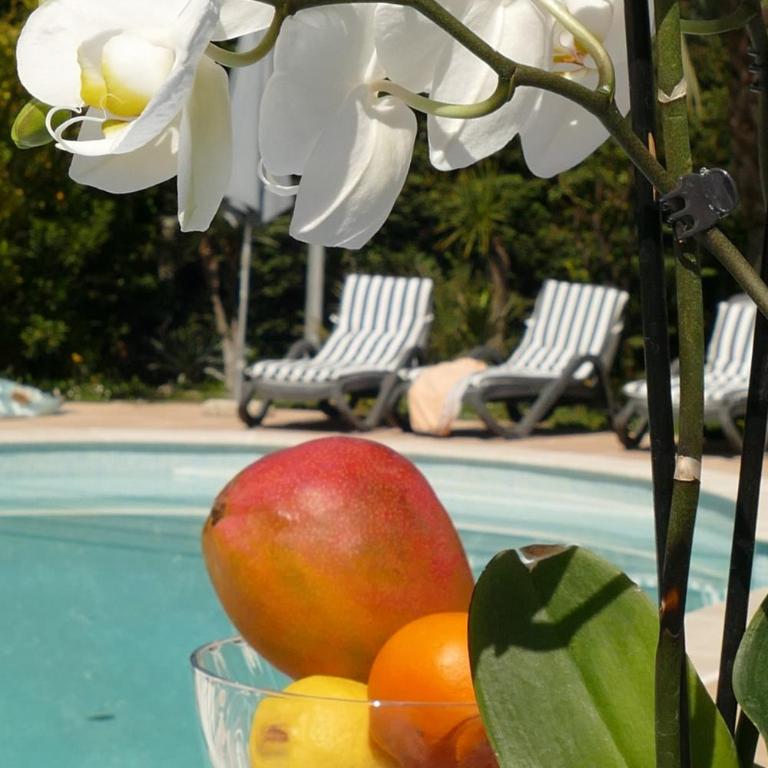 Villa Alessia | Charme Provençal à Antibes - Maison 4 Chambres - 30