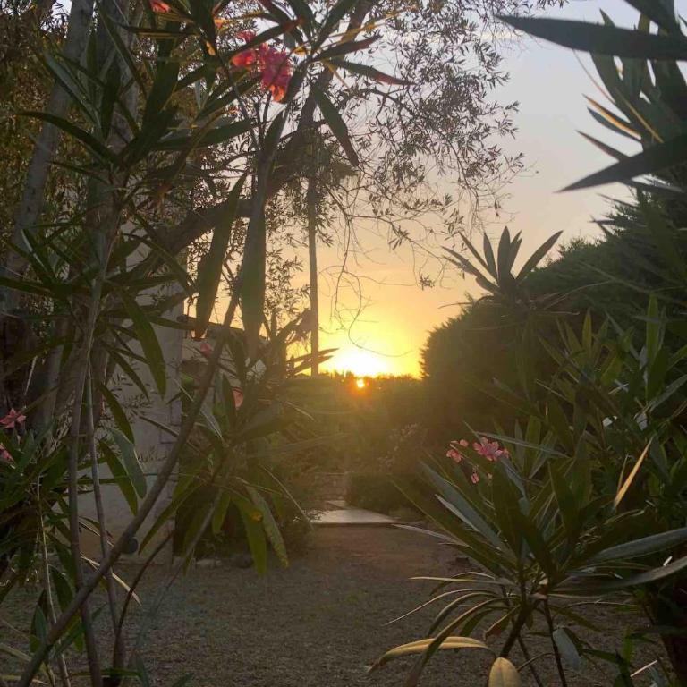 Villa Alessia | Charme Provençal à Antibes - Maison 4 Chambres - 38