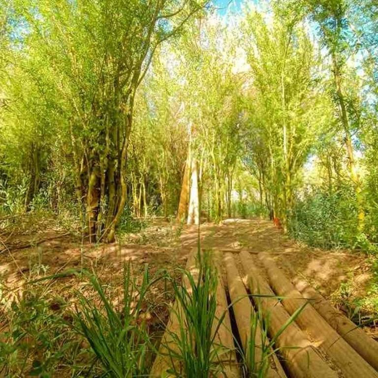 Casa Atuq - Vacation Home - 10