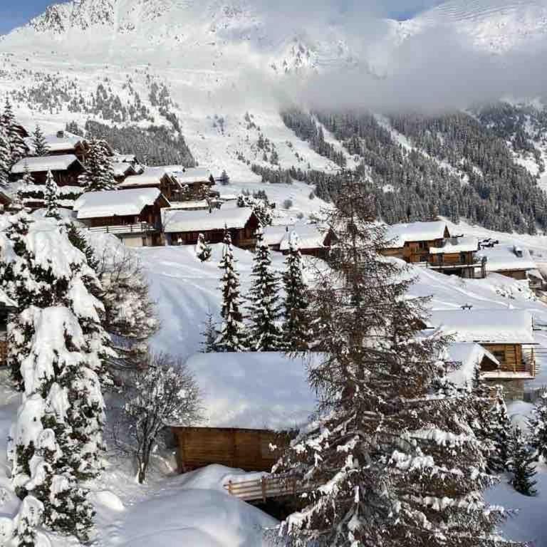 Chalet with stunning views, ideally located, deer nearby, ideal for families, not suitable for groups - Chalet mit 3 Schlafzimmern - 22