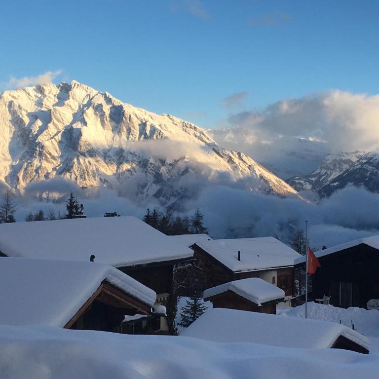 Chalet with stunning views, ideally located, deer nearby, ideal for families, not suitable for groups - Chalet mit 3 Schlafzimmern - 23