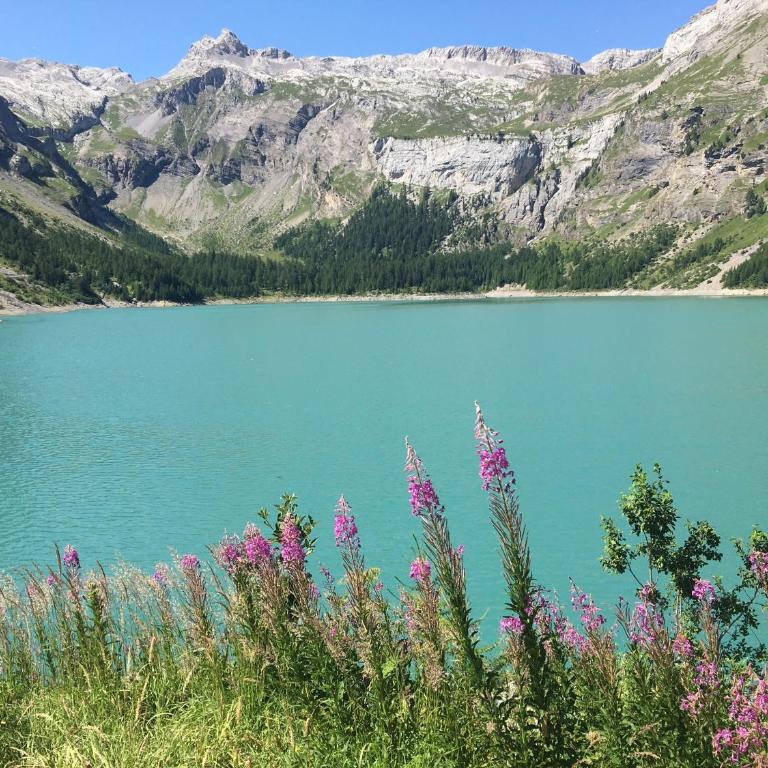 Chalet with stunning views, ideally located, deer nearby, ideal for families, not suitable for groups - Chalet mit 3 Schlafzimmern - 25