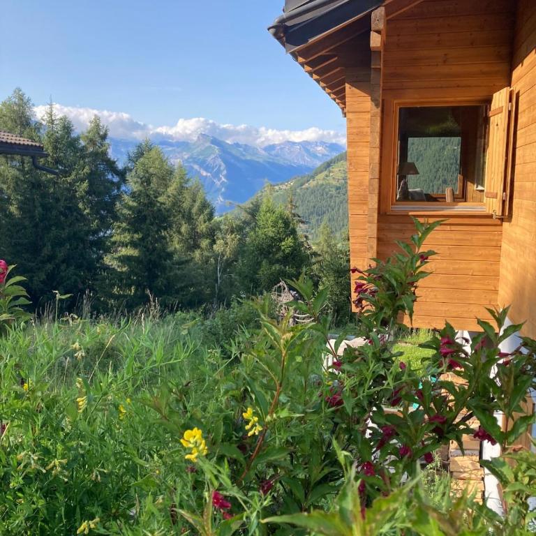 Chalet with stunning views, ideally located, deer nearby, ideal for families, not suitable for groups - Chalet mit 3 Schlafzimmern - 1