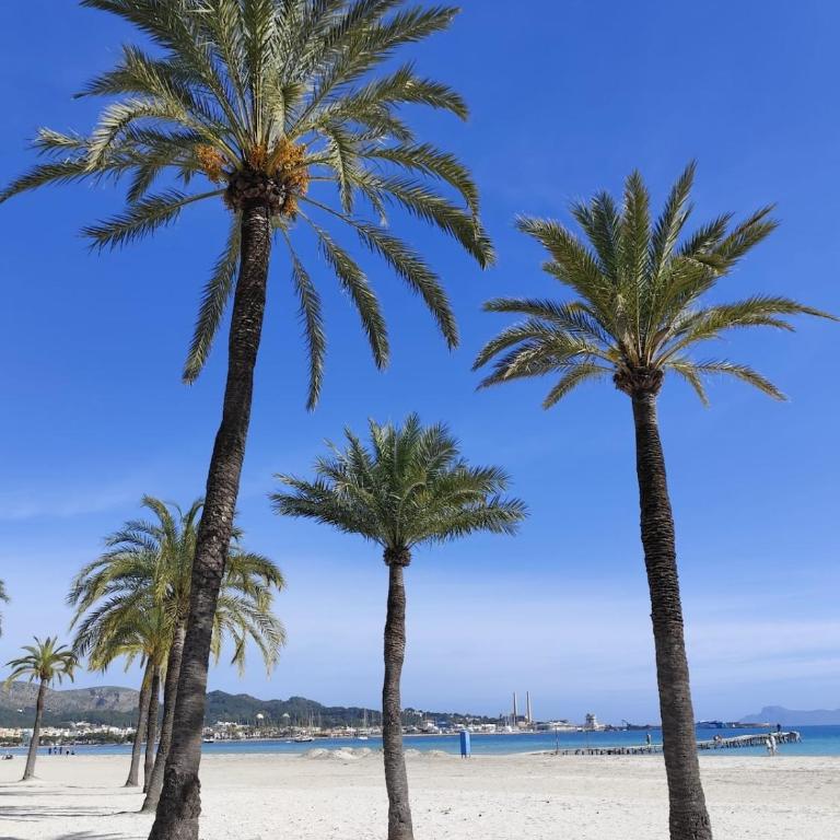 Sea View Escape in Port d'Alcudia max 4 Guests - Apartamento de 3 dormitorios con vistas al mar - 5