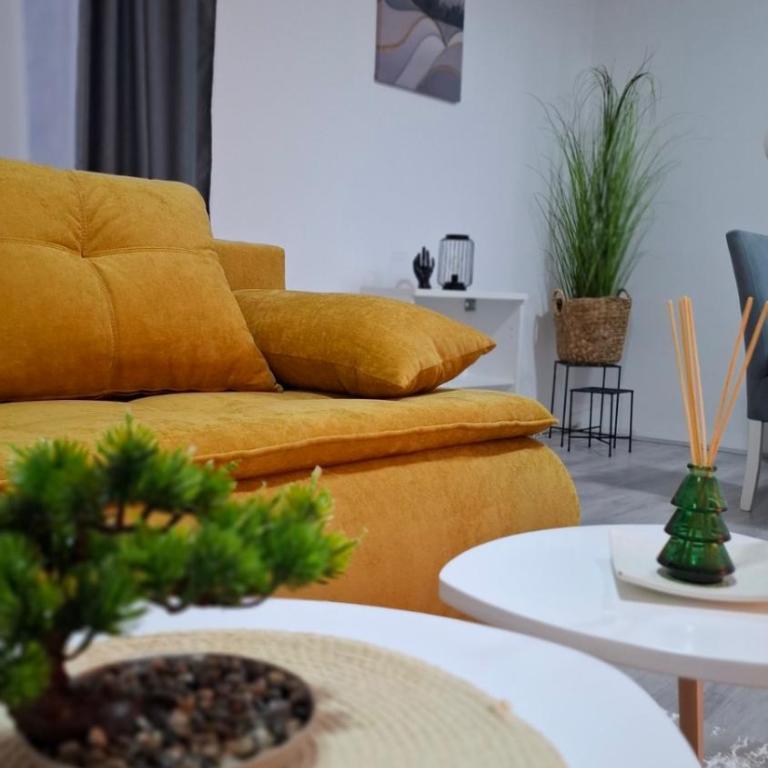 SAMI APARTMAN - Apartman sa 1 Spavaćom Sobom - 10