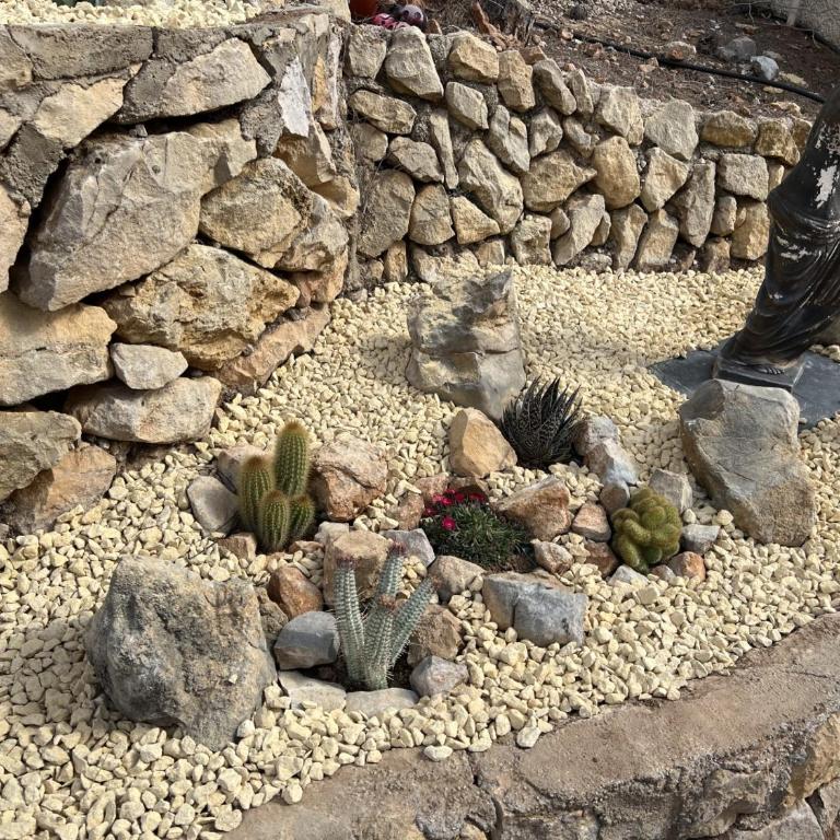 Casa Orient - Casa - 23