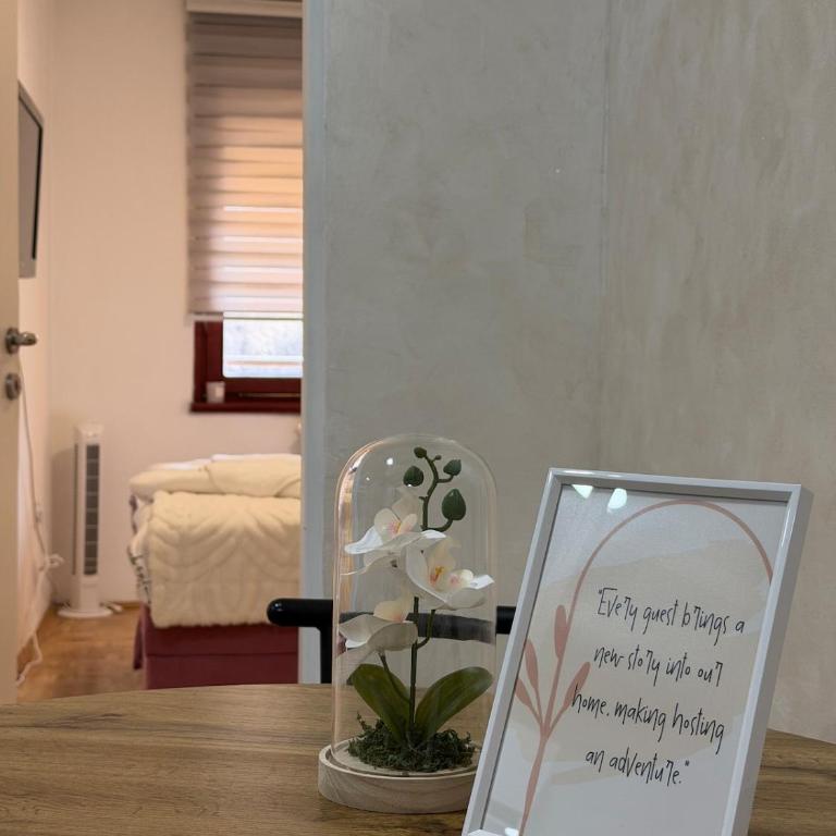 City Central Apartment-Heart of Sarajevo - Apartman sa 1 Spavaćom Sobom - 7