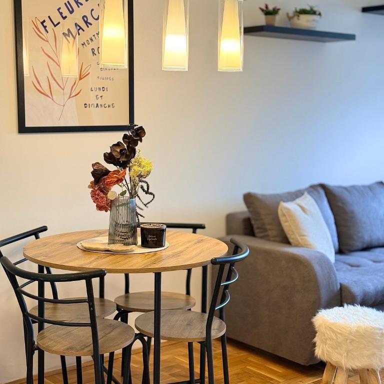 Modern bright apartment 2 - Apartman sa 1 Spavaćom Sobom - 4