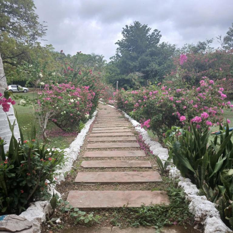 Casa Finca #47 - Turbaco - Casa de 3 dormitorios - 1
