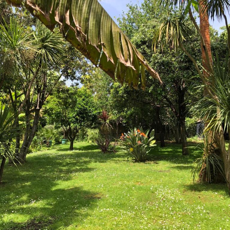 Cap d'Antibes 50m from the beach 3 bedrooms/Pool - Villa 3 Chambres - 44