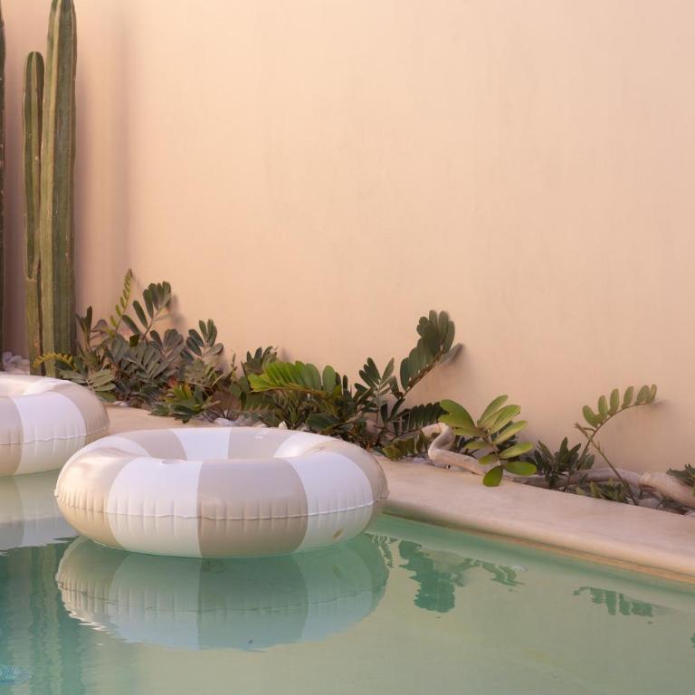 Casa AJAL Private Pool Sanctuary - Chalet - 9
