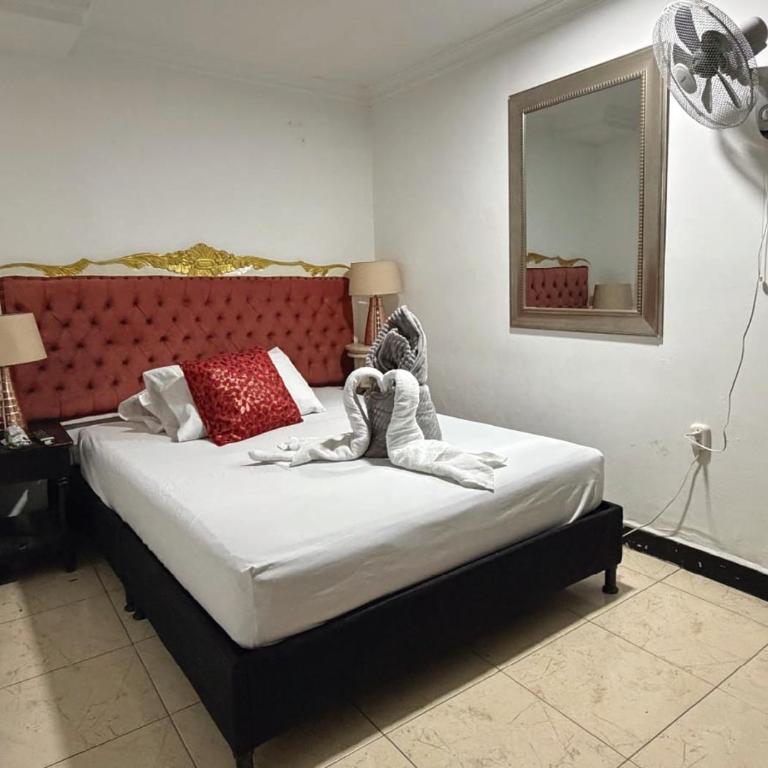 Hotel Estadio Suite - Habitación Individual Amplia - 4