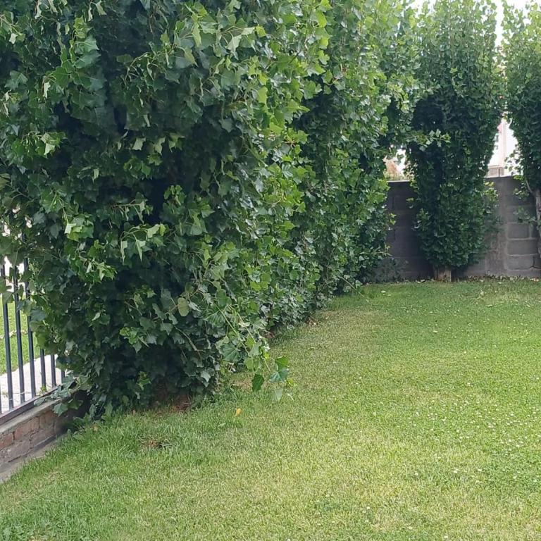 Casa Elias - Casa de 2 dormitorios - 7