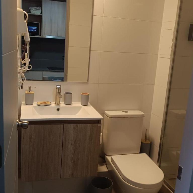 Departamento en Parque o Higgins - One-Bedroom Apartment - 1