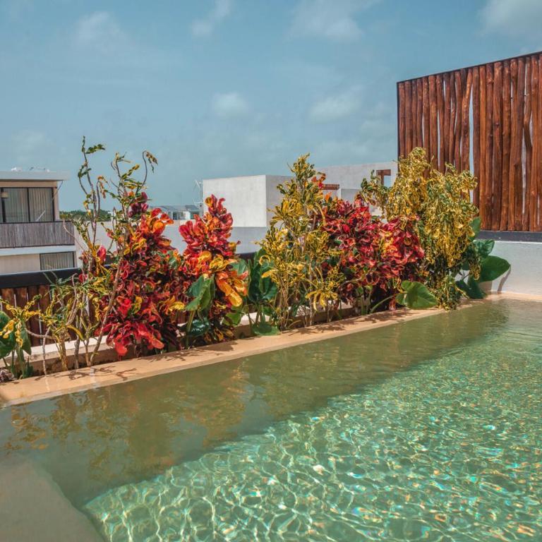 Casa Palalma Penthouse Suite with Private Rooftop Pool - Estudio con terraza - 64