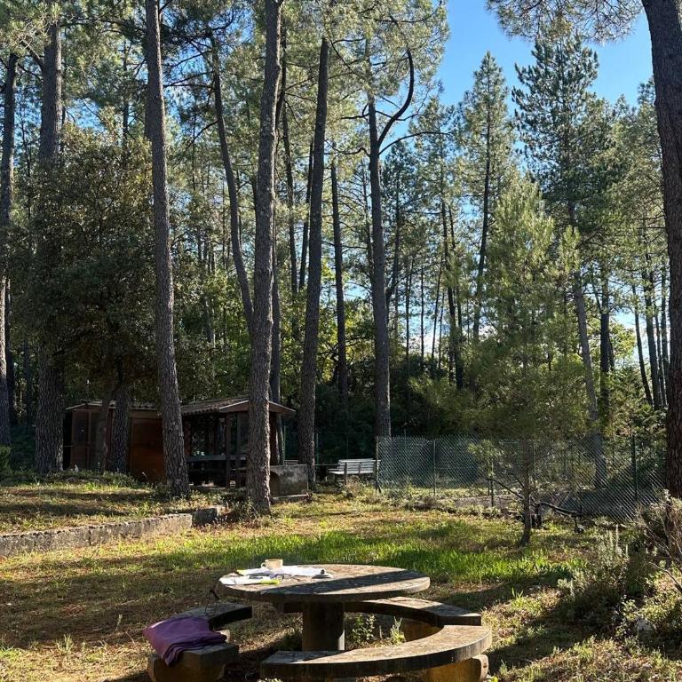 The Chalet VertVentoux - Charming Wooden Chalet for a Cozy and Relaxing Getaway - Chalet - 13
