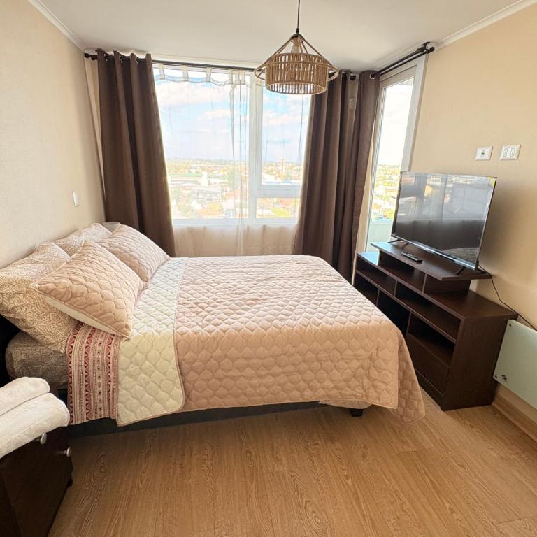Departamentos Andrade - One-Bedroom Apartment - 17