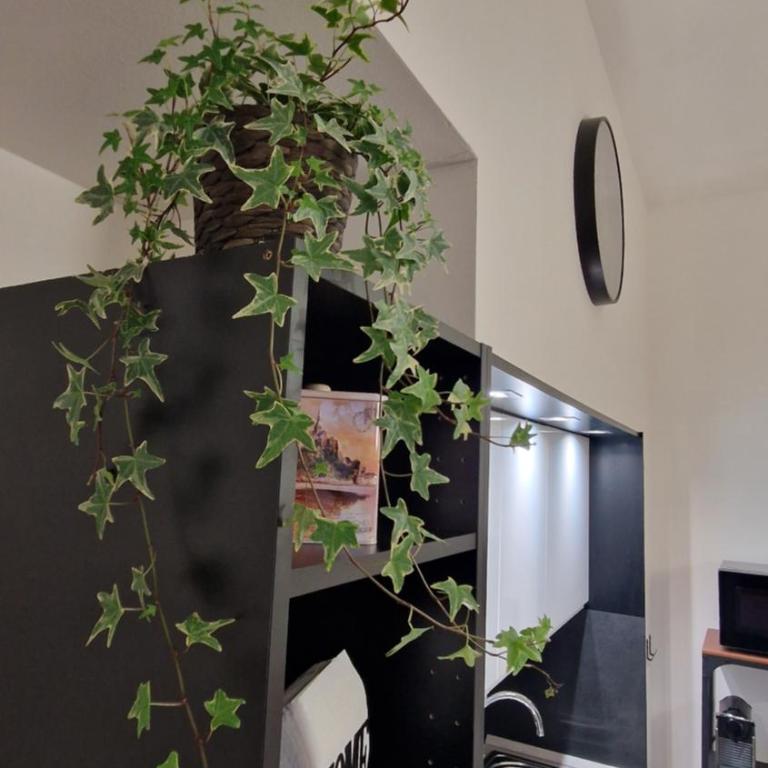 Fieranest Bologna - One-Bedroom Apartment - 6