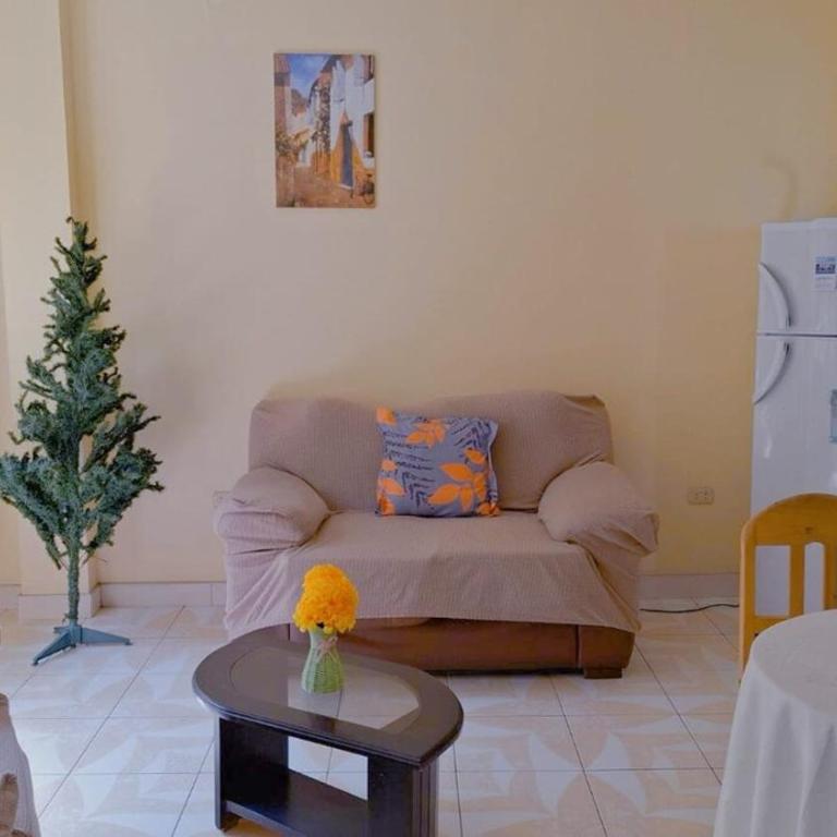 Departamento Céntrico - Ilo - Apartamento de 1 dormitorio - 3