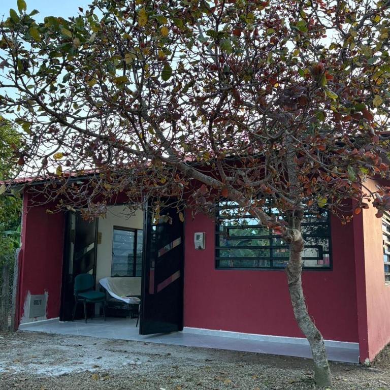Rincón Llanero - Casa - 2