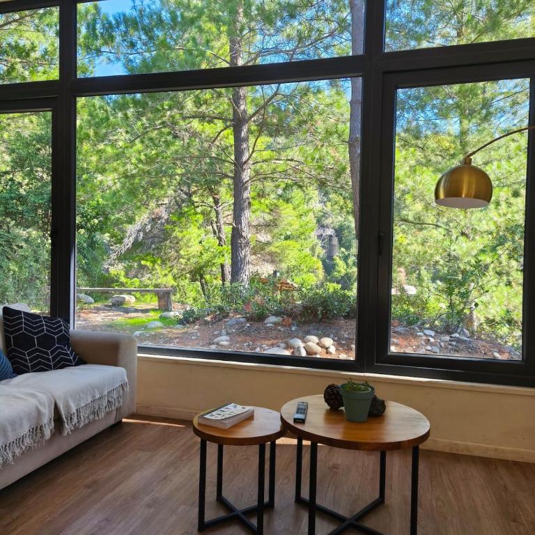 Nature & Relaxation Home in Los Queñes - Chalet - 1