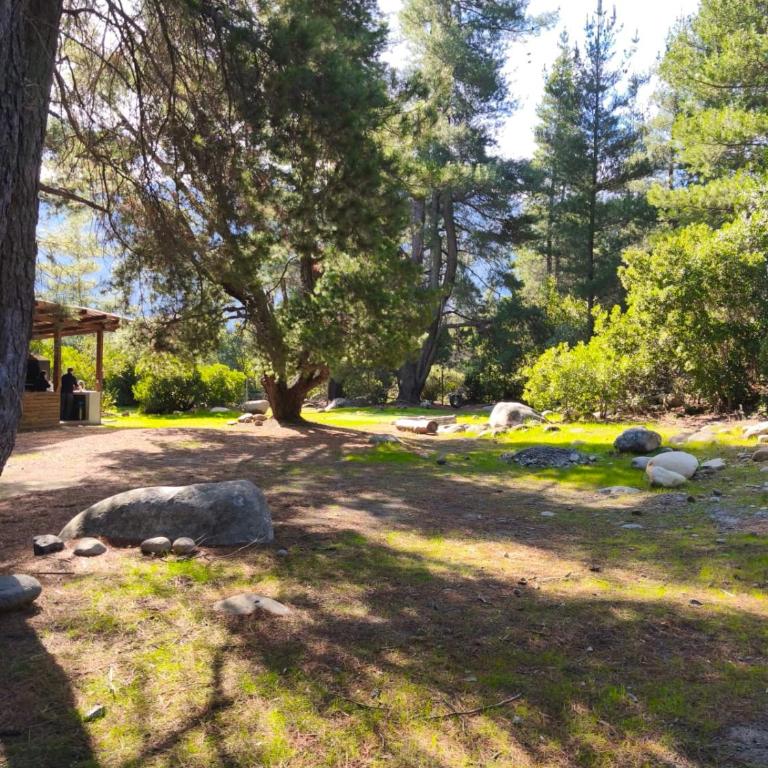 Nature & Relaxation Home in Los Queñes - Chalet - 3
