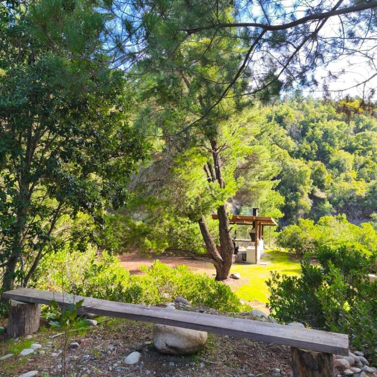 Nature & Relaxation Home in Los Queñes - Chalet - 7