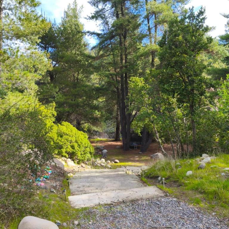 Nature & Relaxation Home in Los Queñes - Chalet - 9
