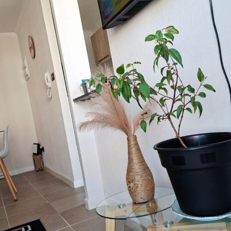 Depto nuevo, 2D 2b, Estacionamiento privado, Aire acond - Apartamento de 1 dormitorio - 3