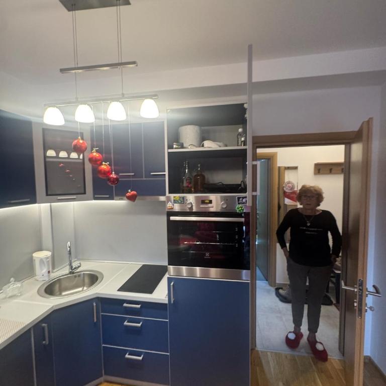 Modern apartment on Zlatibor - One-Bedroom Apartment - 20