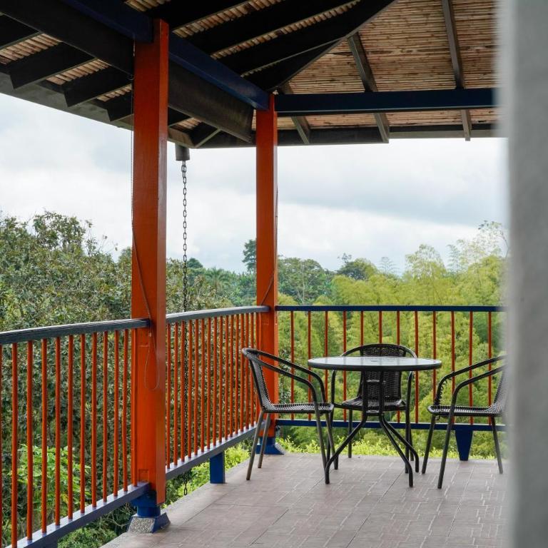 Finca La Coqueta Coffee Farm Stay near Filandia - Family Room with Balcony - 10