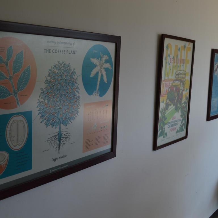 Finca La Coqueta Coffee Farm Stay near Filandia - Standard Twin Room - 7