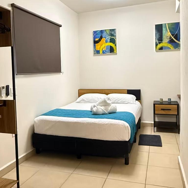 Cabo Downtown Studios - Apartamento con vistas a la ciudad - 10