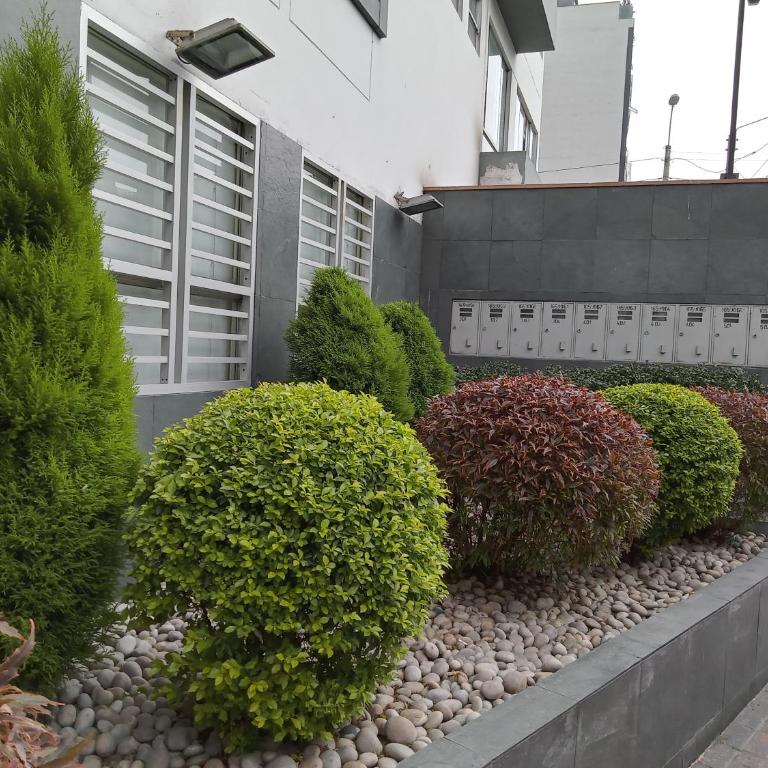 Apartment in the heart of Miraflores - Apartment - 69