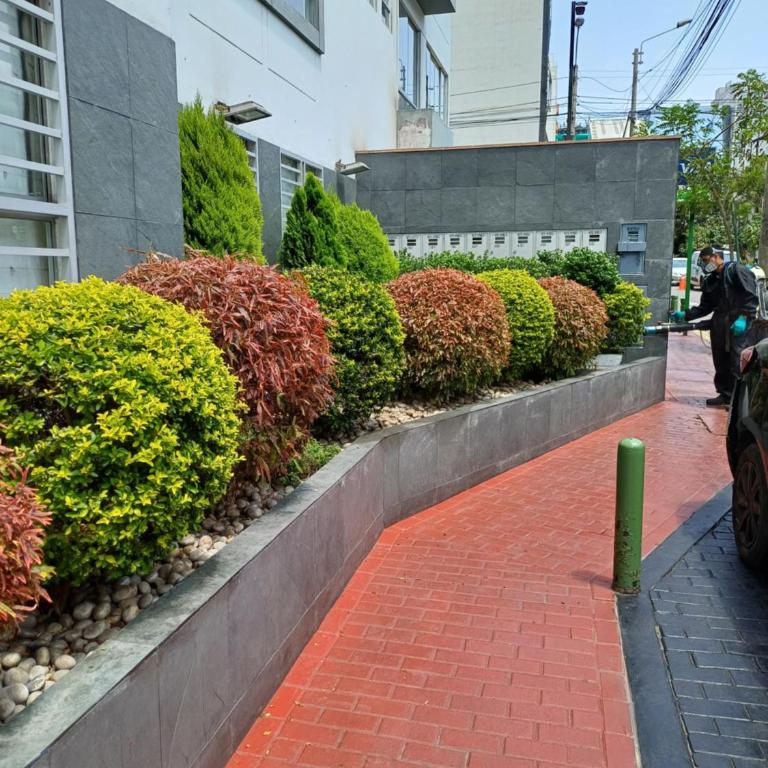 Apartment in the heart of Miraflores - Apartment - 71