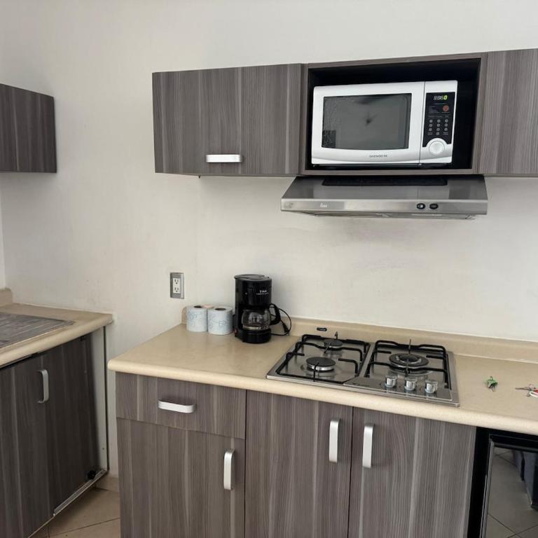 Calm Retreat Near Quinta Avenida & the Beach - One-Bedroom Apartment - 5