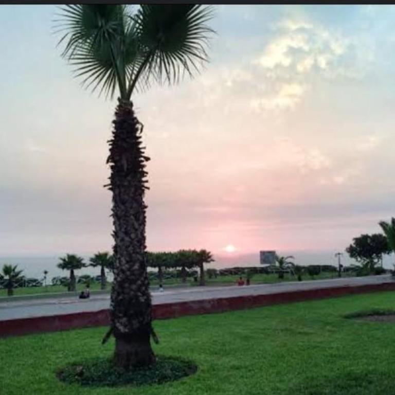 Magdalena del Mar - Apartamento de 1 dormitorio - 2
