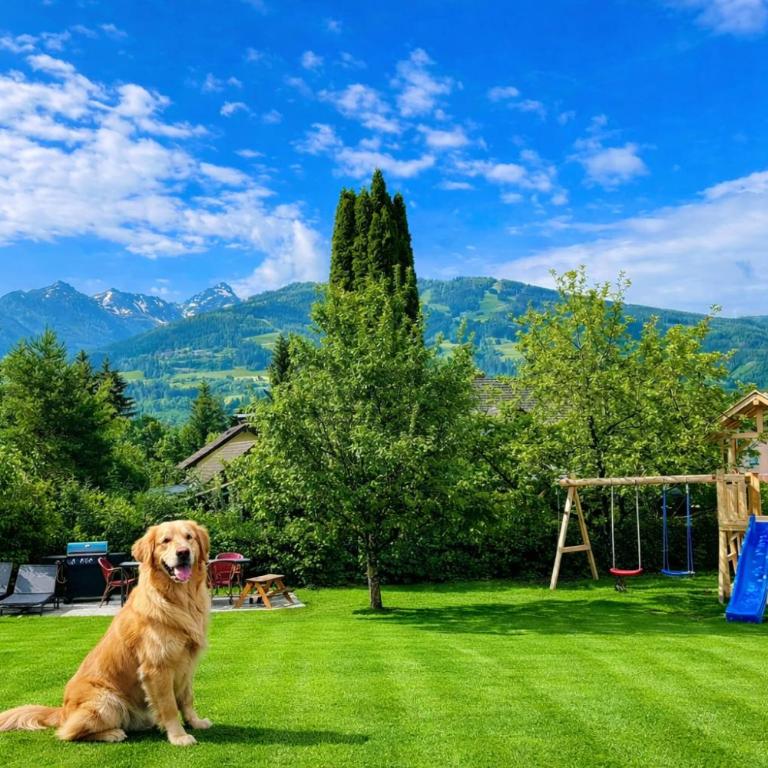 Appartement Mama - Apartment mit 3 Schlafzimmern und Balkon - 15