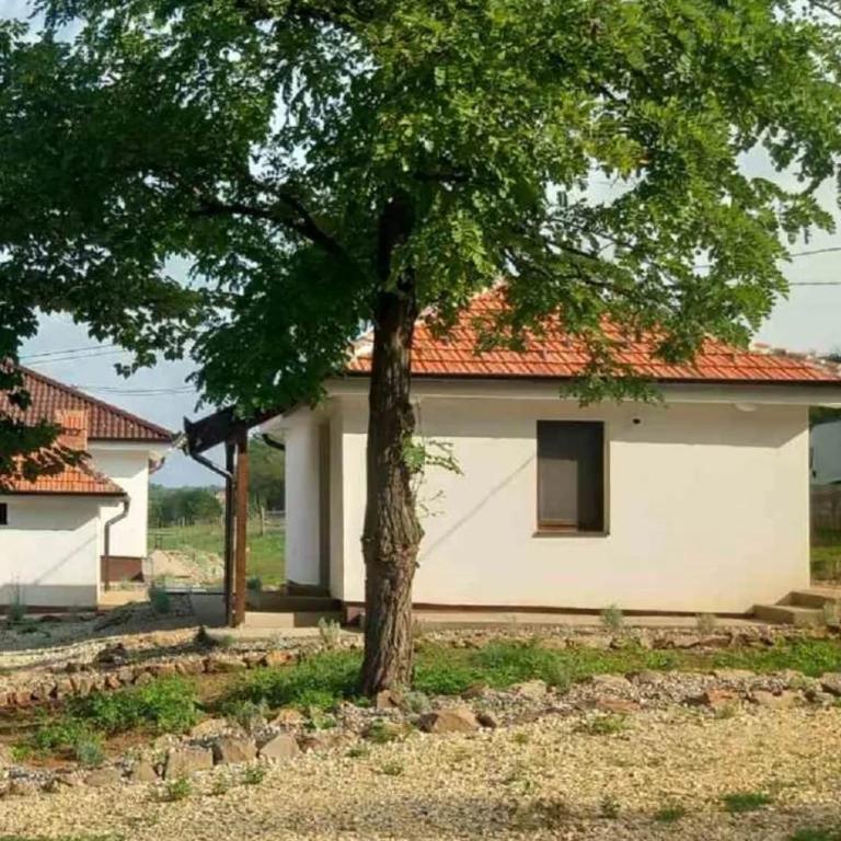 Etno Vila Ognjilo - One-Bedroom Apartment - 1