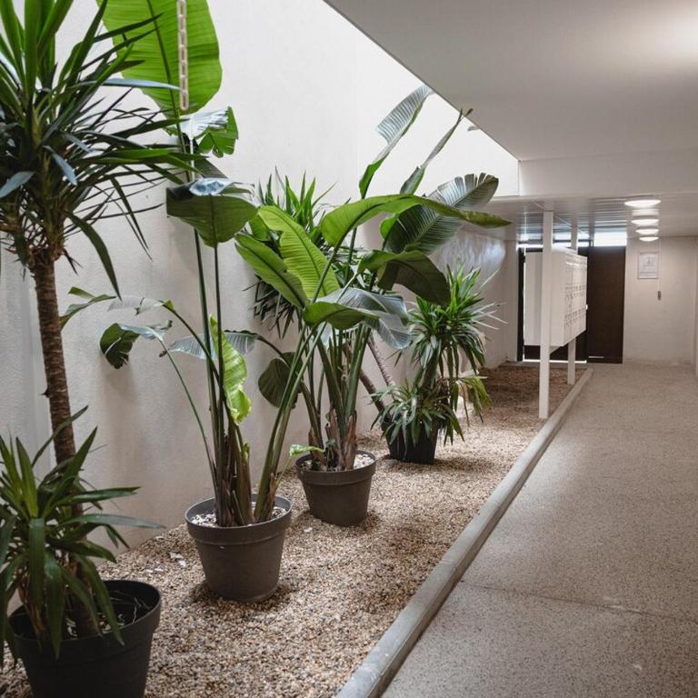 Appartement équipé avec terrasse vue mer et climatisation - Appartement 1 Chambre - 8