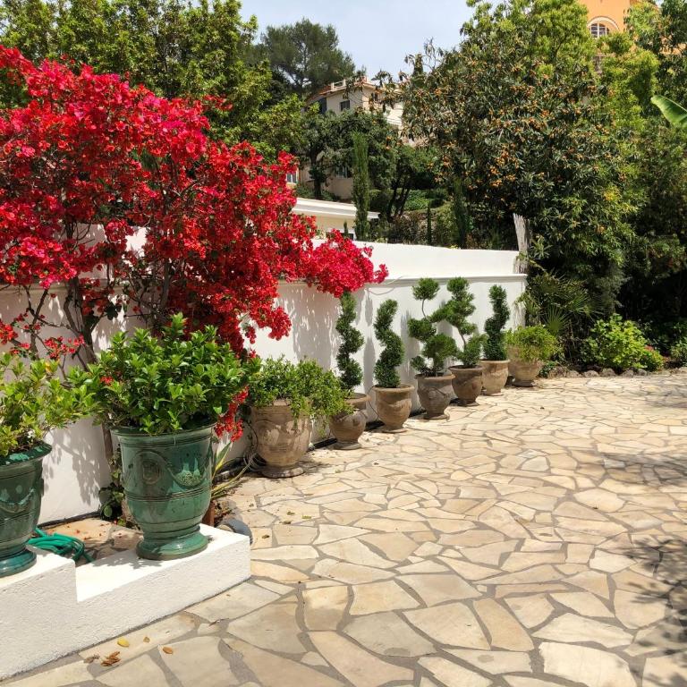 Cap d'Antibes 50m from the beach 3 bedrooms/Pool - Villa 3 Chambres - 49